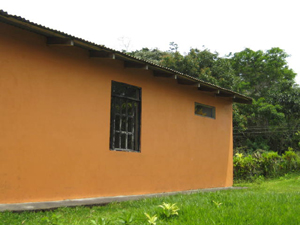 The back of the house could be opened up to make a nice outdoor leisure space.